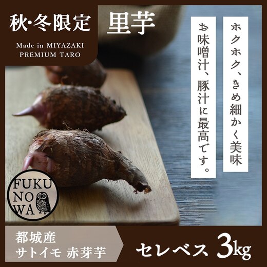FUKUNOWA 里芋「赤芽芋 セレベス」3kg